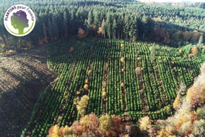 Interview: Tancrède Neveu, directeur délégué de Plantons pour l’avenir image