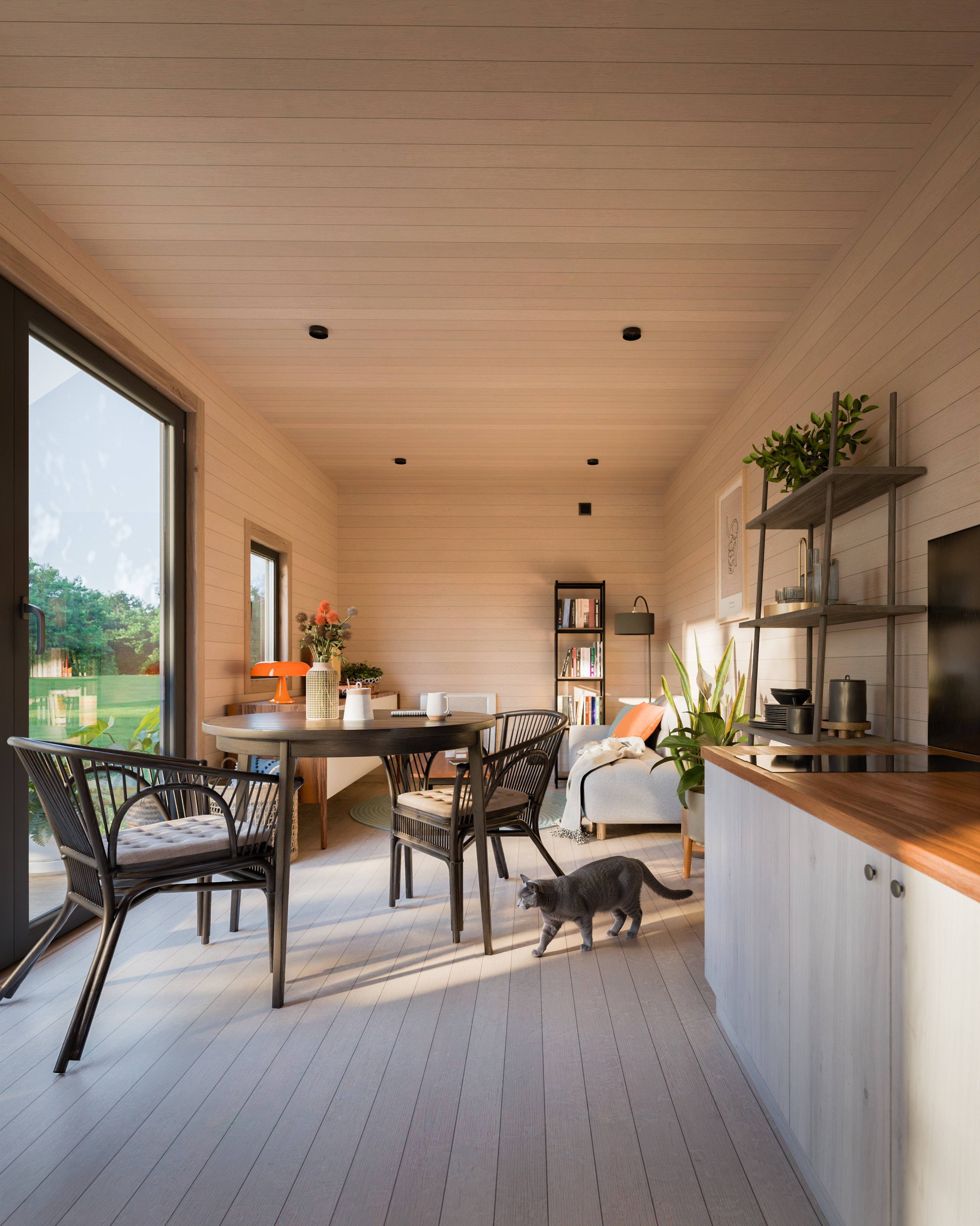 interior 4 — z kotem